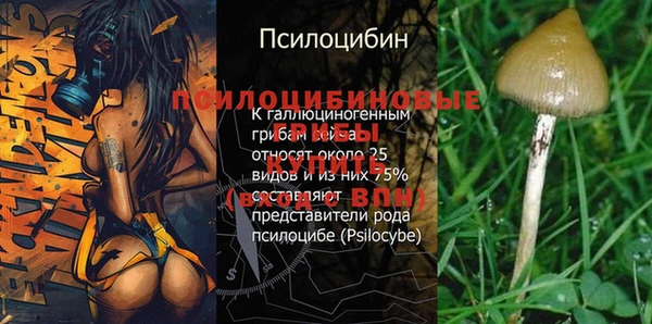 марки nbome Пролетарск