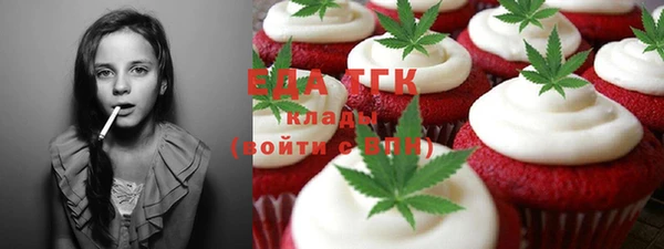 индика Бородино