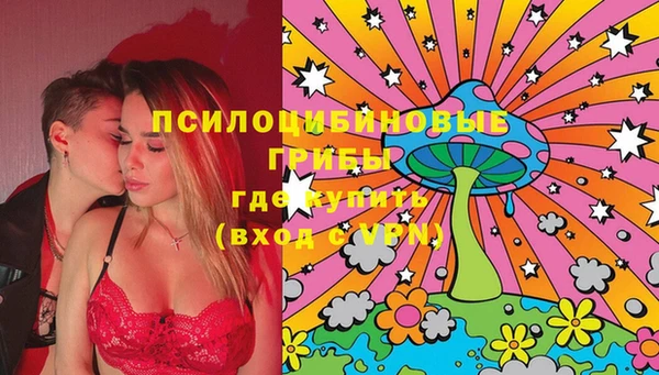 твердый Протвино
