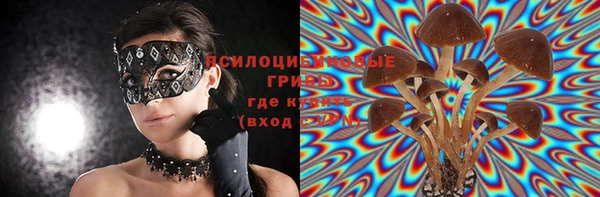 ECSTASY Лагань