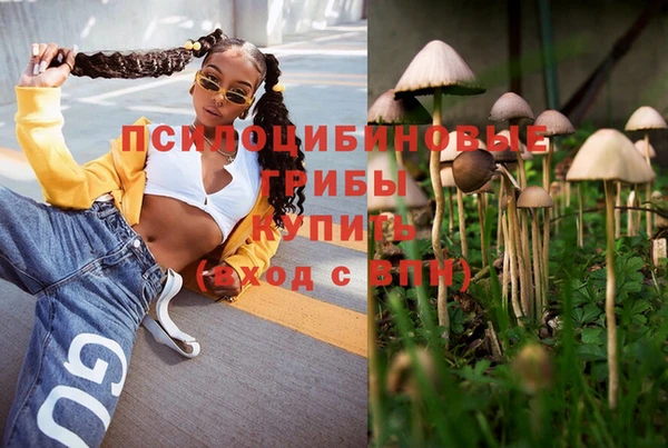 jwh Ладушкин