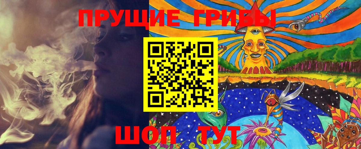 Галлюциногенные грибы прущие грибы Усть-Кут