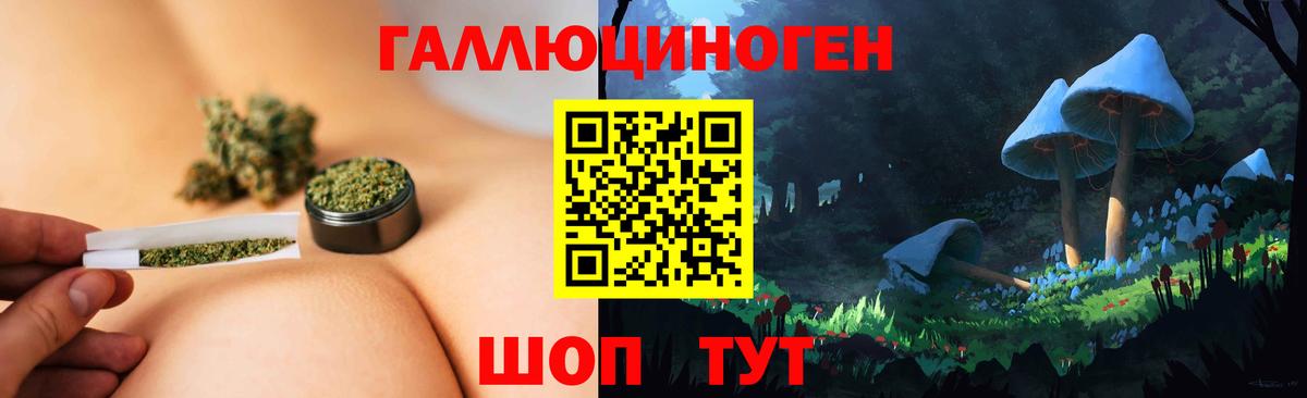 Псилоцибиновые грибы GOLDEN TEACHER Усть-Кут